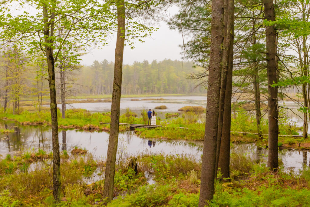 A couple at Quincy bog in the White mountains of NH 