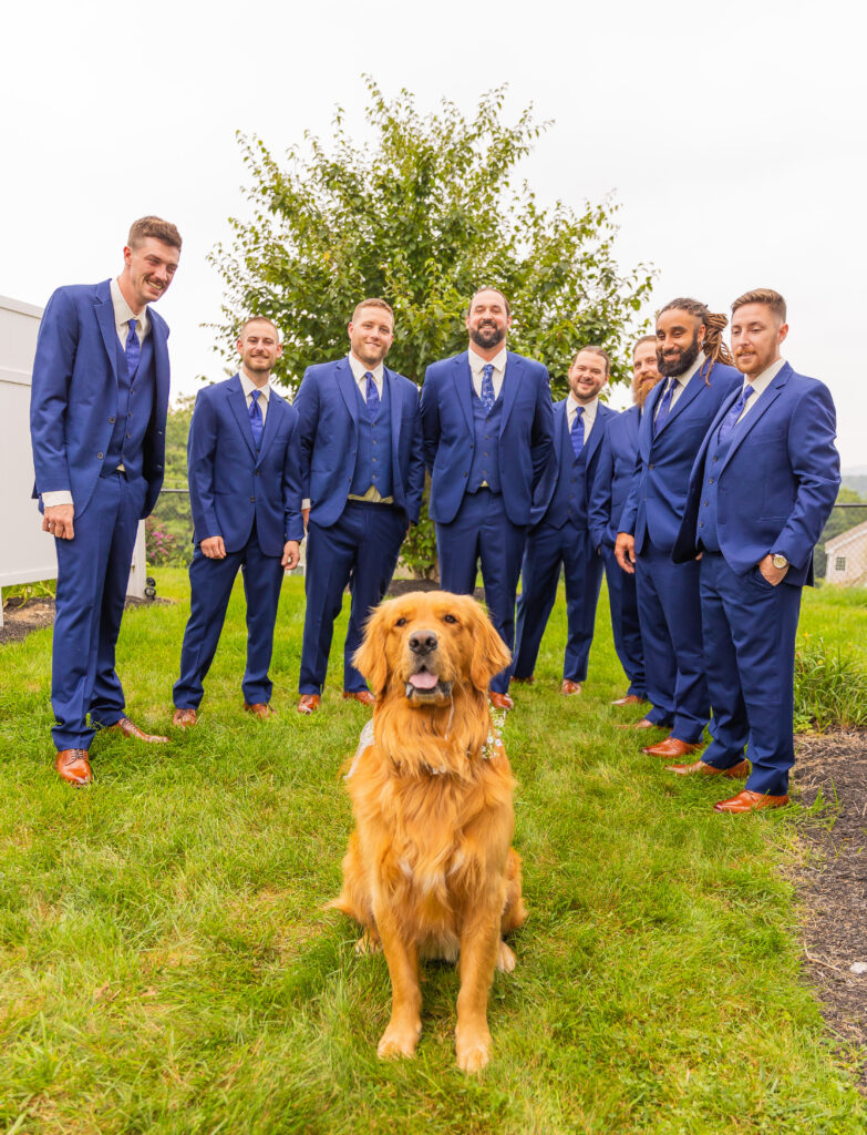 Dog sitting in front of all the groomsmen