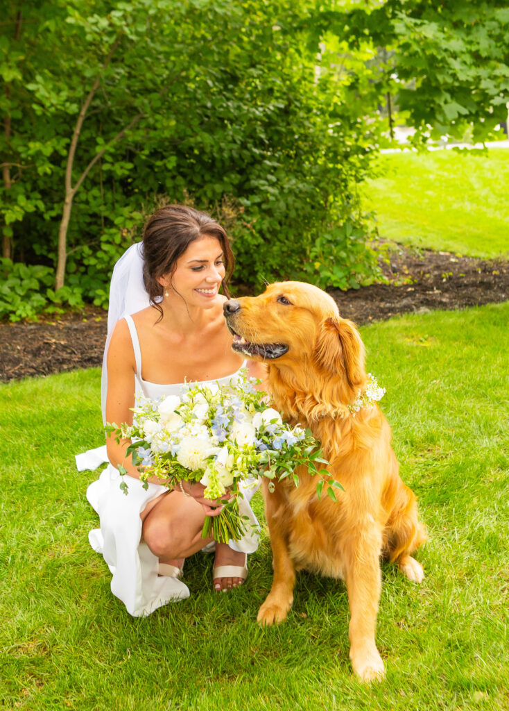 Bride and her golden retriever.