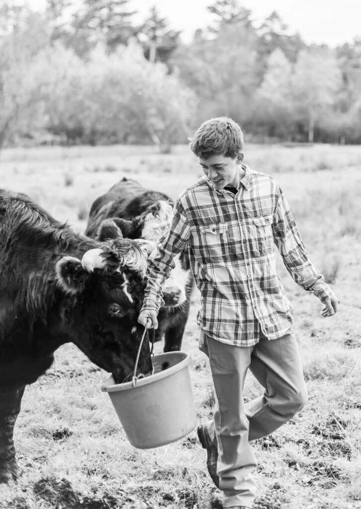 senior photos on a farm in NH